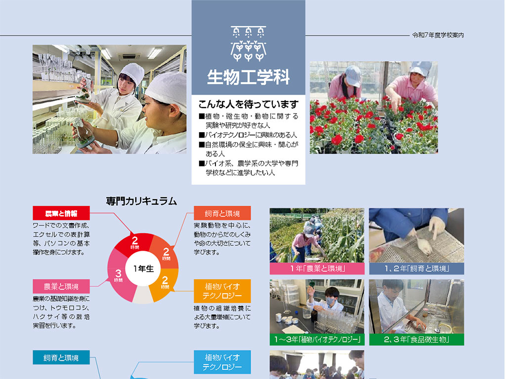 宇都宮白楊高ガイド Graudi